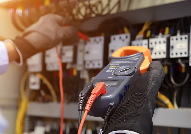 traitement contre les souris à casablanca