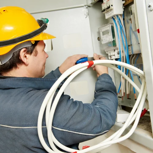 traitement anti puces